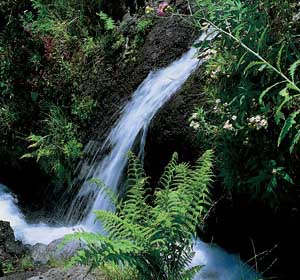 * Parque Natural Las Nieves *