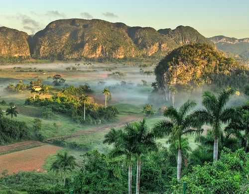 * Pinar del Rio *
