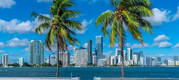 * Florida Beach *