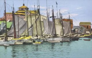 * Sail Boats, Jersey Shore, NJ *