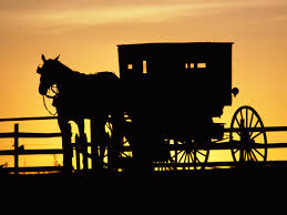 * Amish *